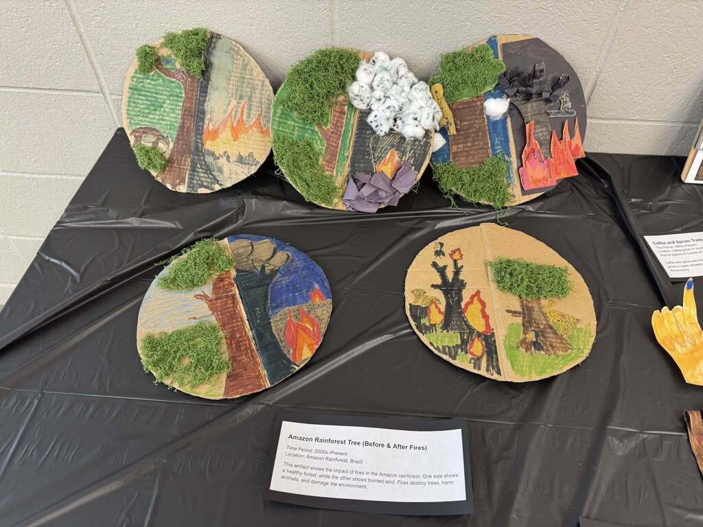 Exhibits from the Latin American History museum including depictions of the Amazon Rainforest trees before and after forest fires.