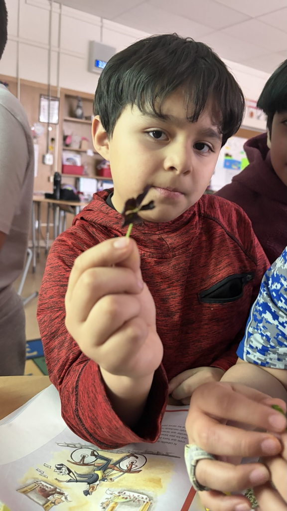 A student with a three leaf clover