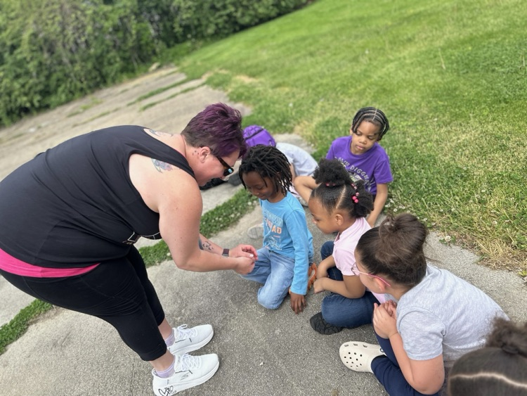 Released butterflies 🦋 with Mrs Raditz’s and Mrs H’s kindergartners today.
