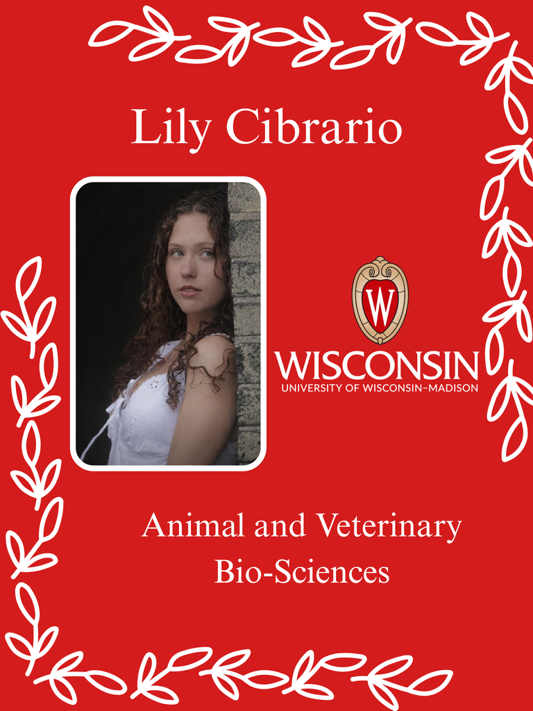 Lily Cibrario
