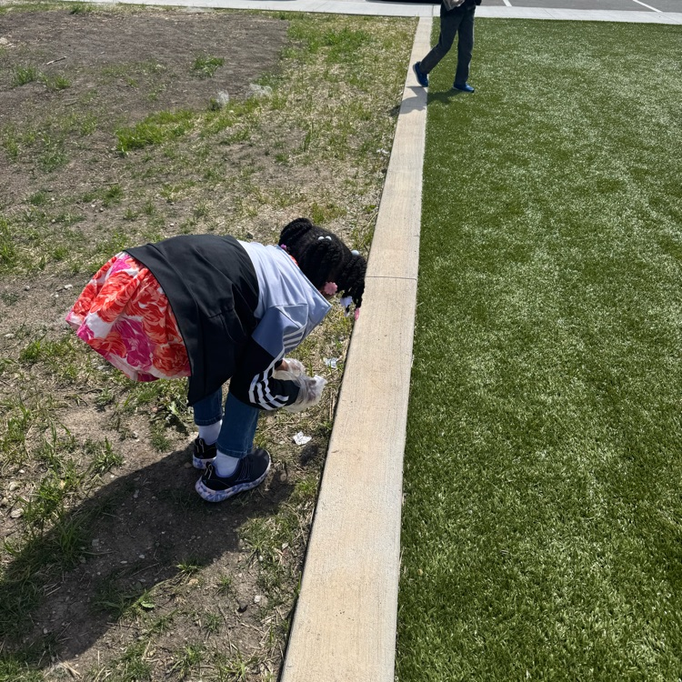 Cleaning up the yard