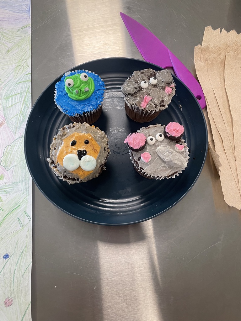 Cupcake Wars
