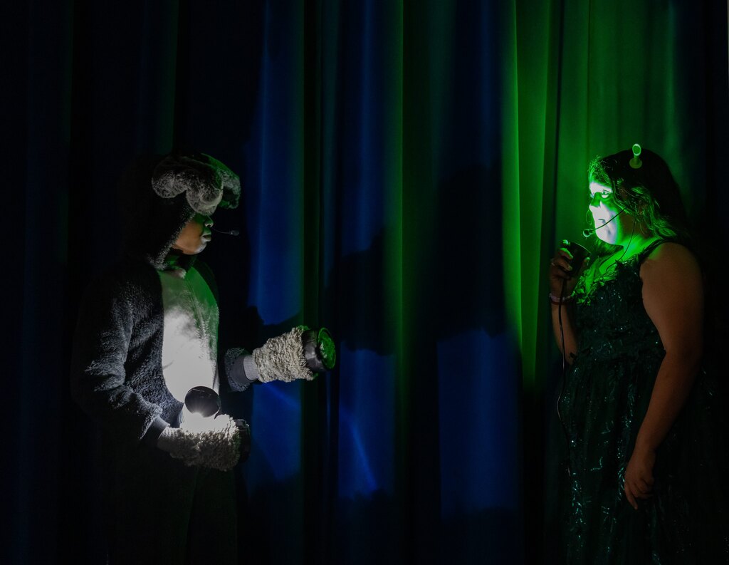 Shrek The Musical