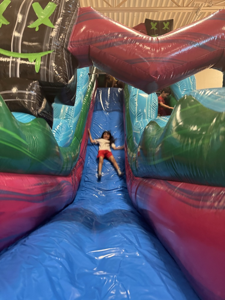 Giant Slide