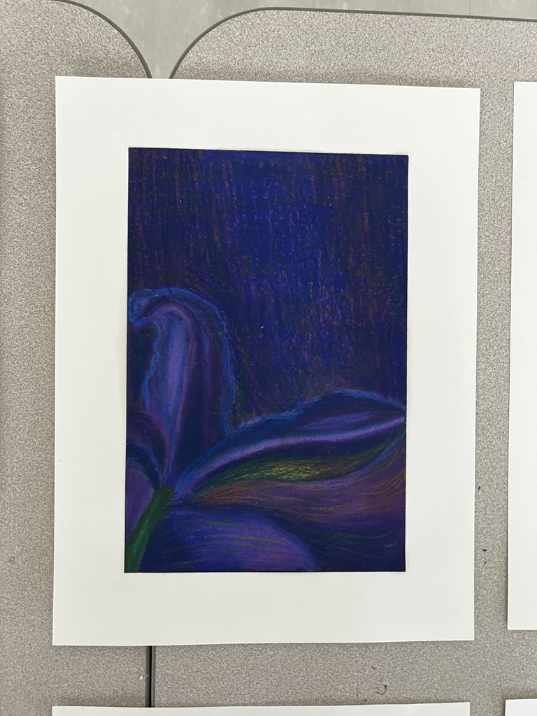 6th grade Georgia O'Keeffe inspired art prints.