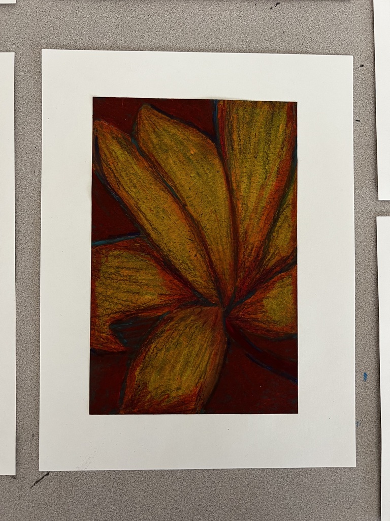6th grade Georgia O'Keeffe inspired art prints.