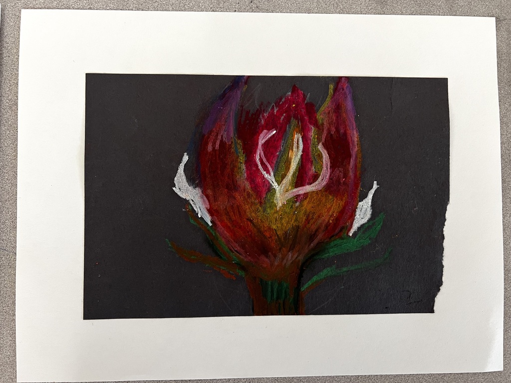 6th grade Georgia O'Keeffe inspired art prints.