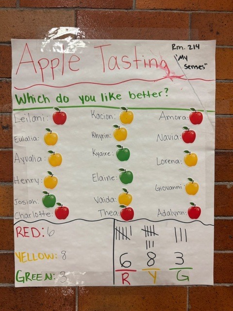 Graph of apple color preferences for K4 students.
