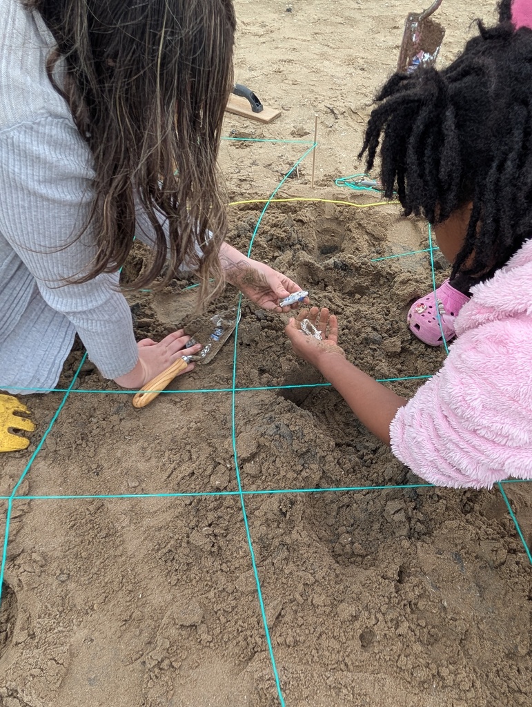 Nova Academy students on their archaeological dig field trip.