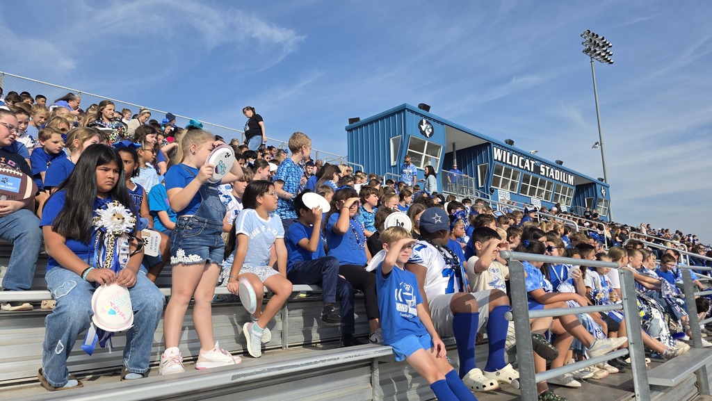 Wildcat Homecoming Pep-Rally Pictures-Kids sitting at the stadium