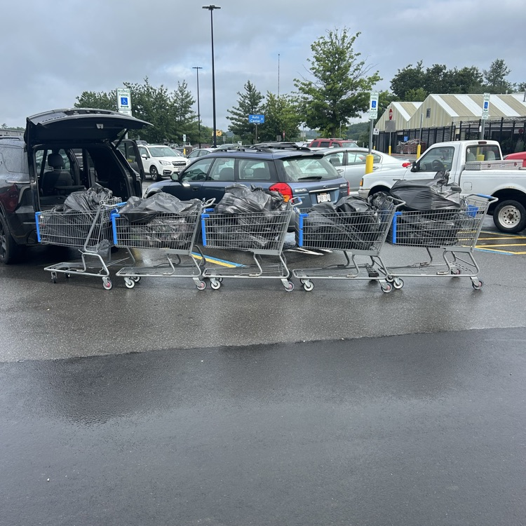 cart1