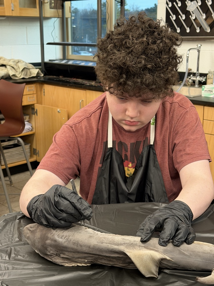 Learning in Action !