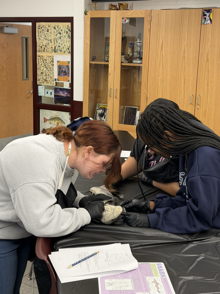 Learning in Action !