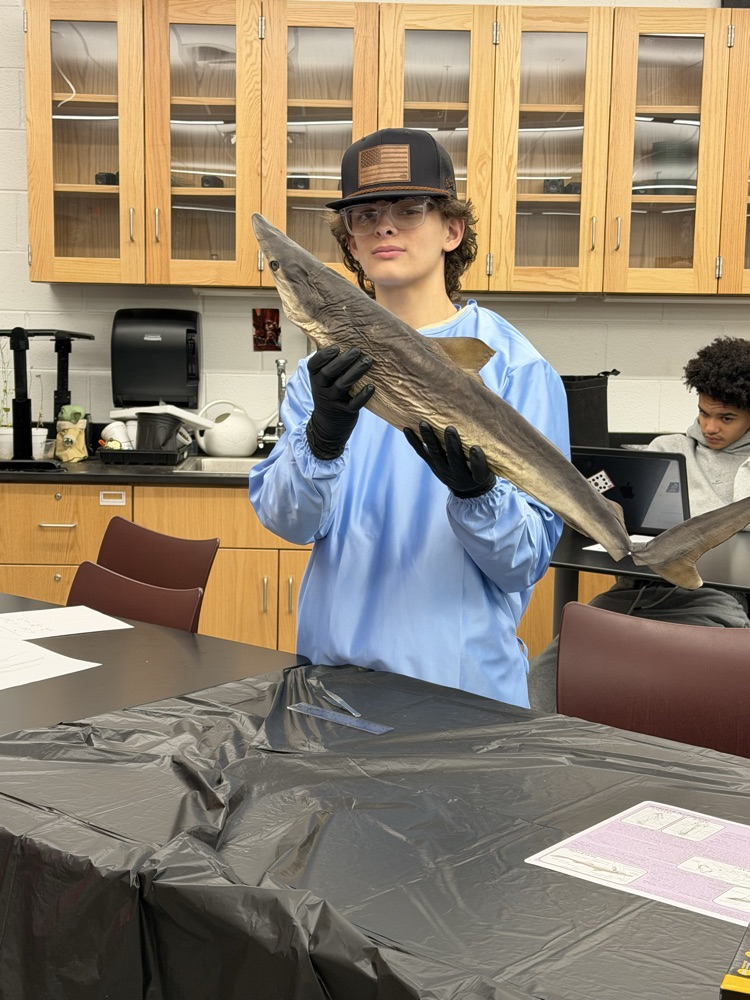 Learning in Action !