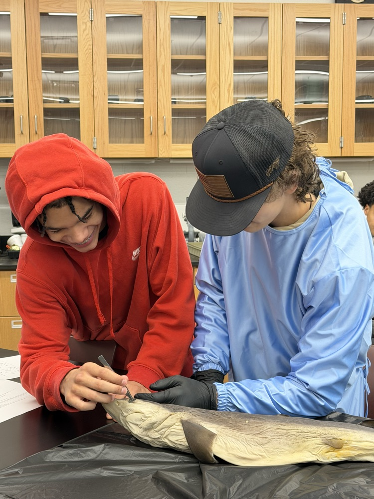 Learning in Action !