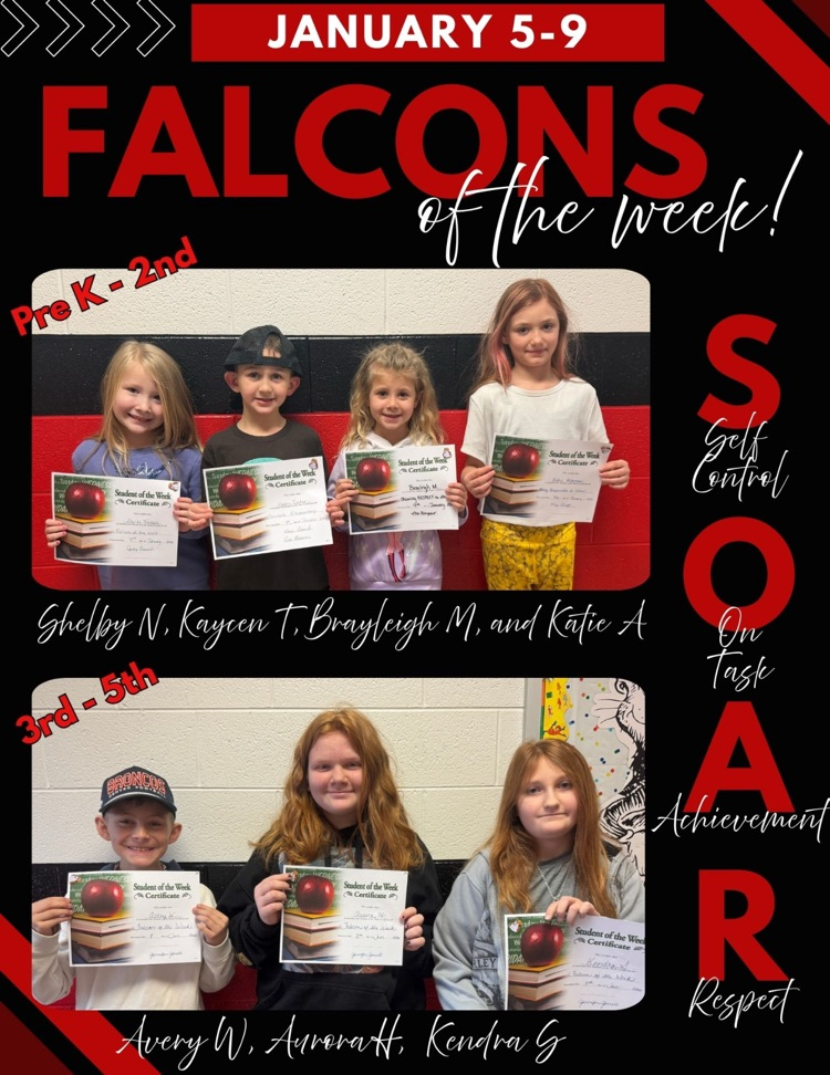 falcons of the week 01-09-2026