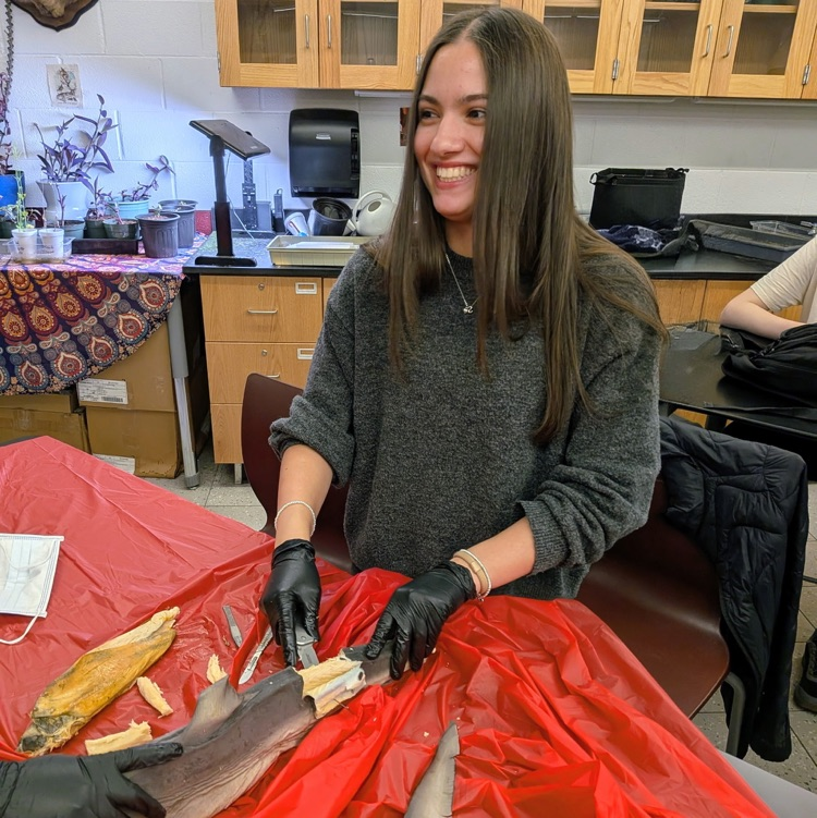 Learning in Action !