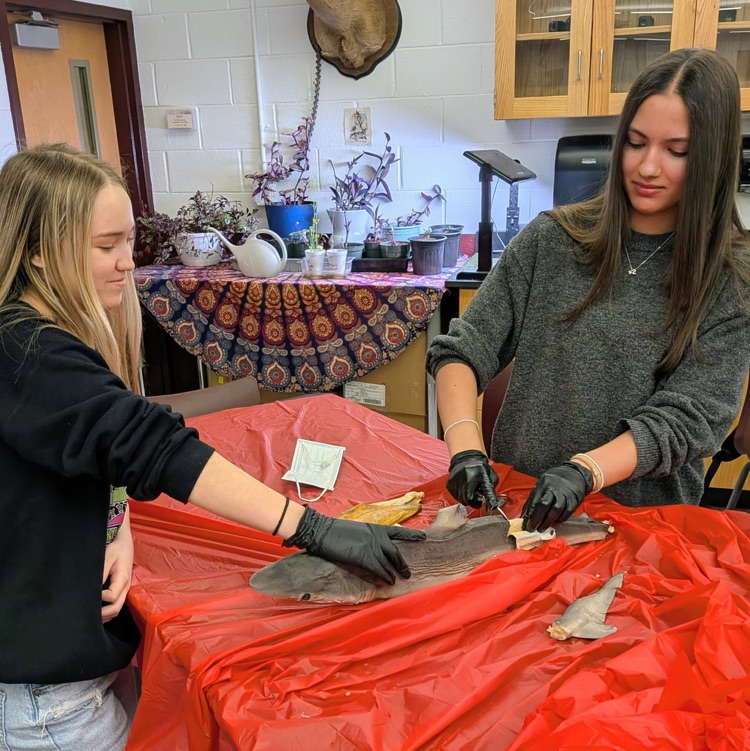 Learning in Action !