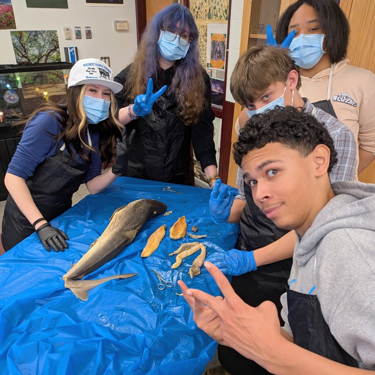 Learning in Action !