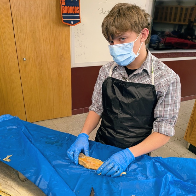 Learning in Action !