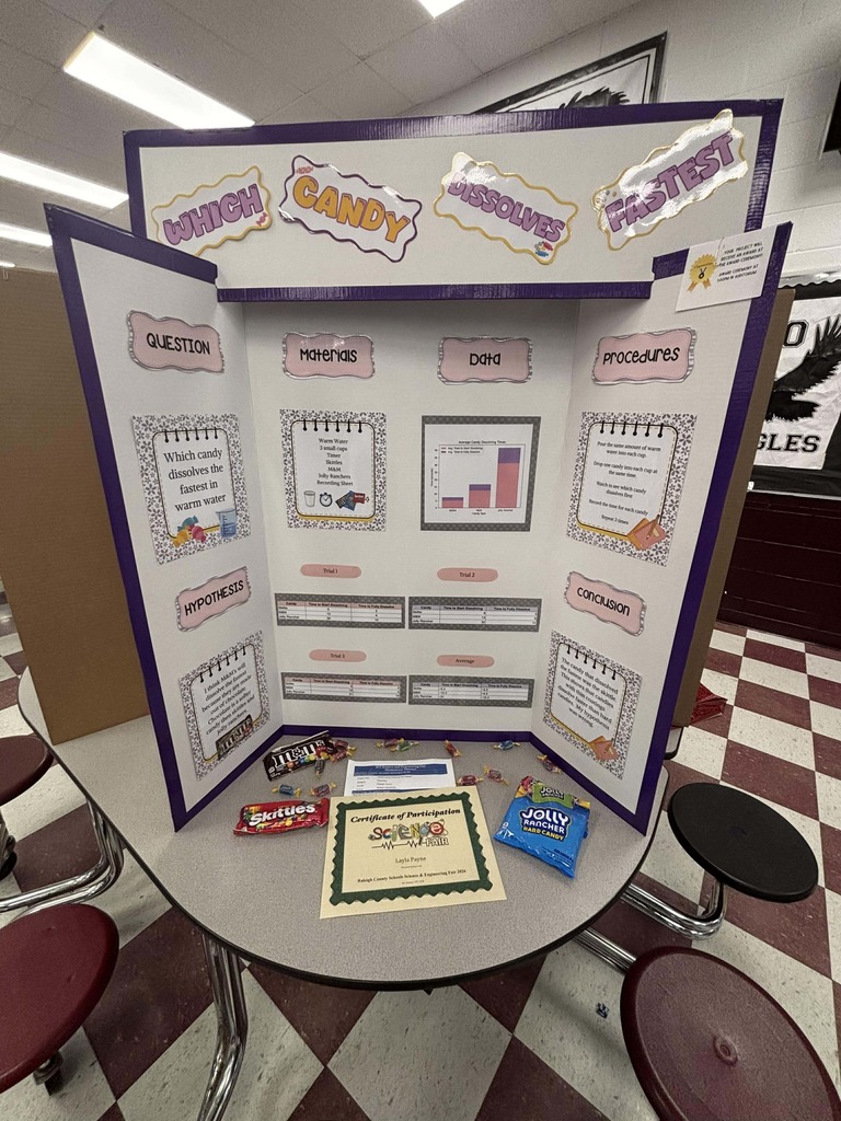 Layla's Science Fair Project
