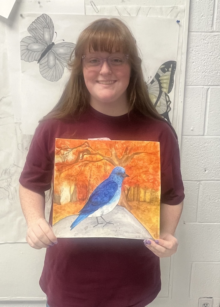 Congressional Art Entry 5