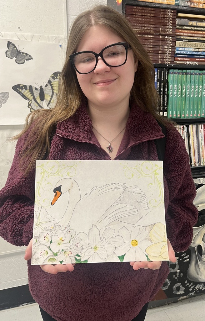 Congressional Art Entry 3