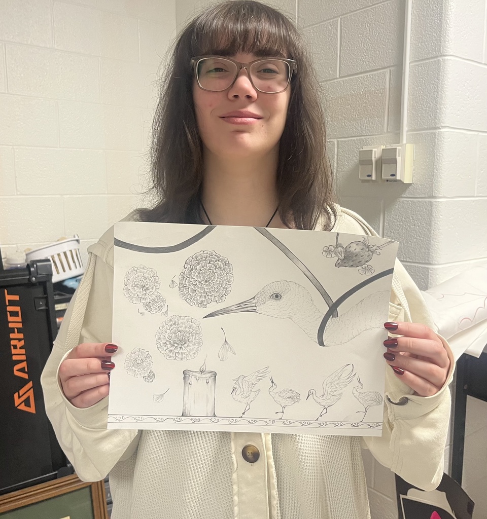 Congressional Art Entry 2