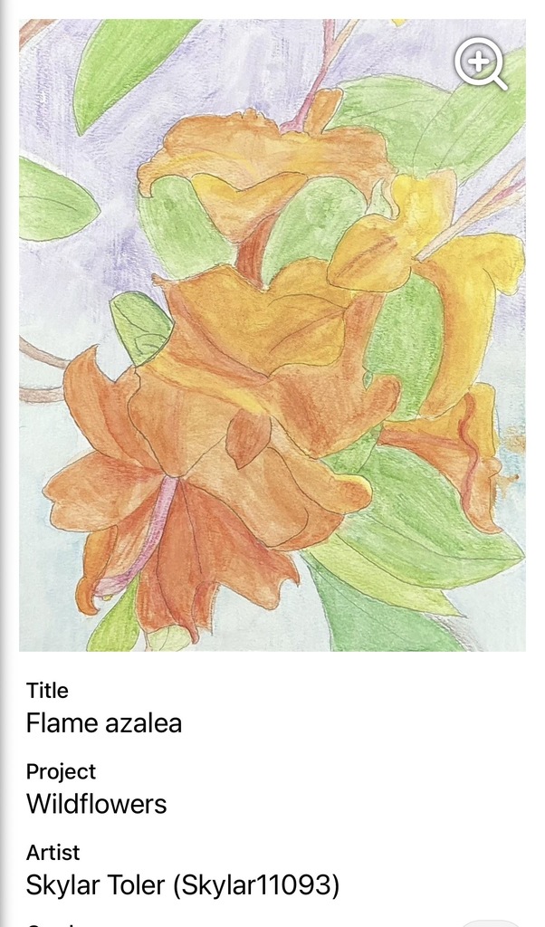 Watercolor art by Skylar of a azalea
