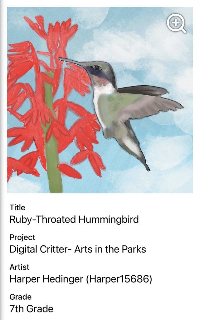 Digital art by Harper of a Hummingbird