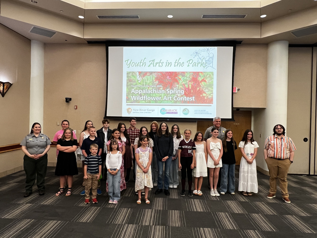 Arts in the Parks artists