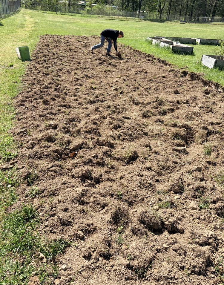 The garden at clear fork.