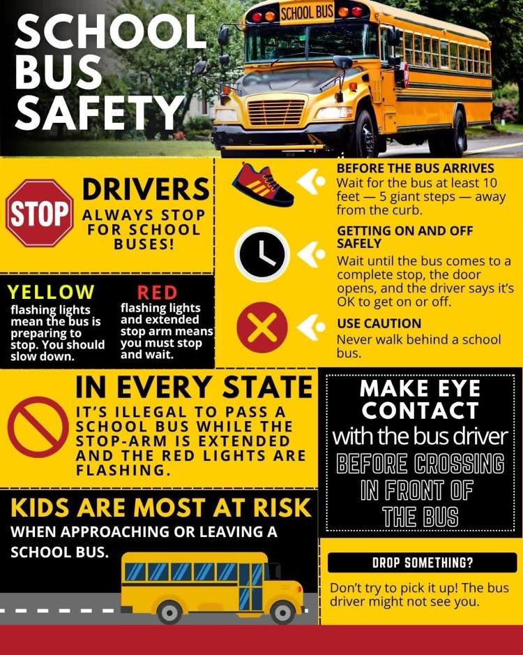 School Bus Safety 