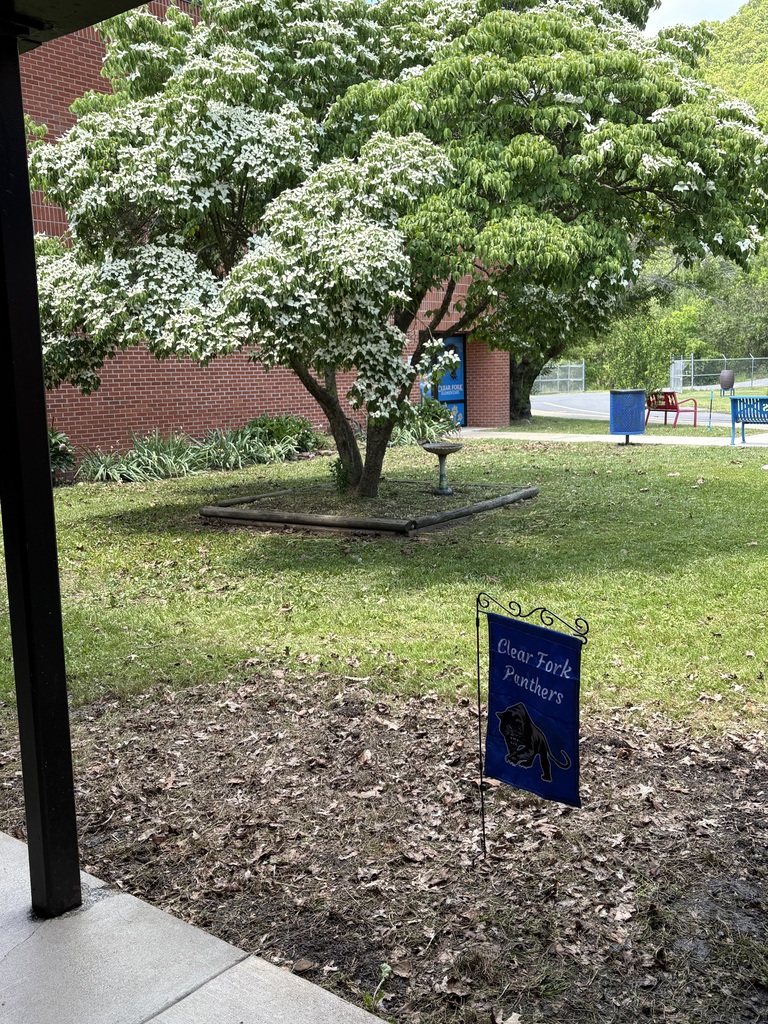 Front of the school, cleaned up