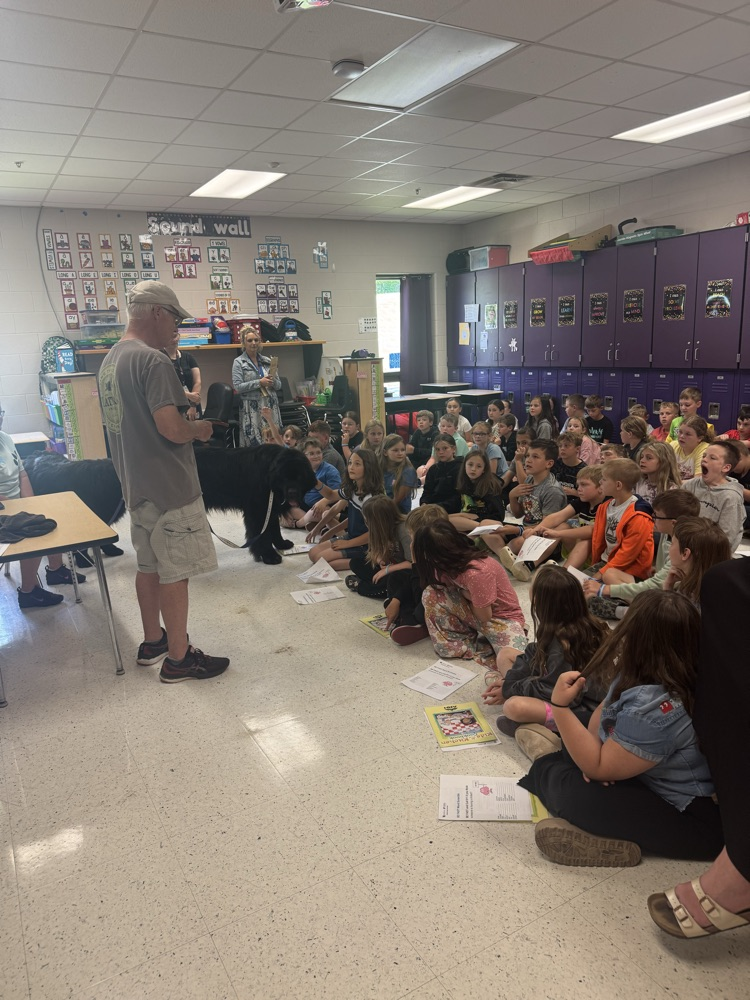 career day9