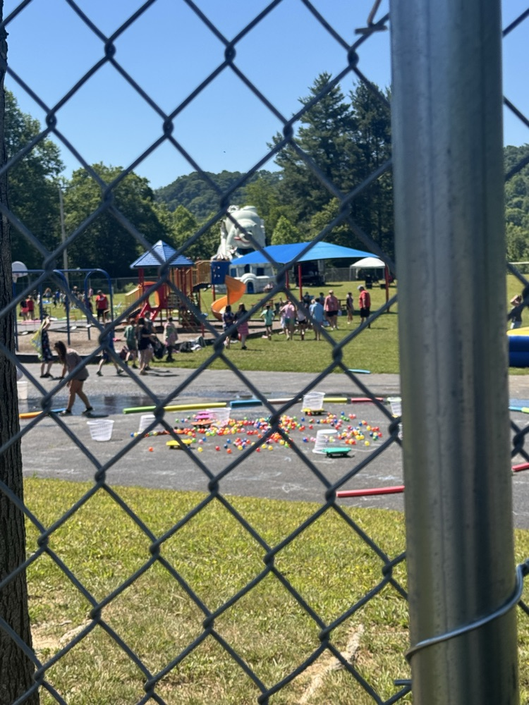 field day2