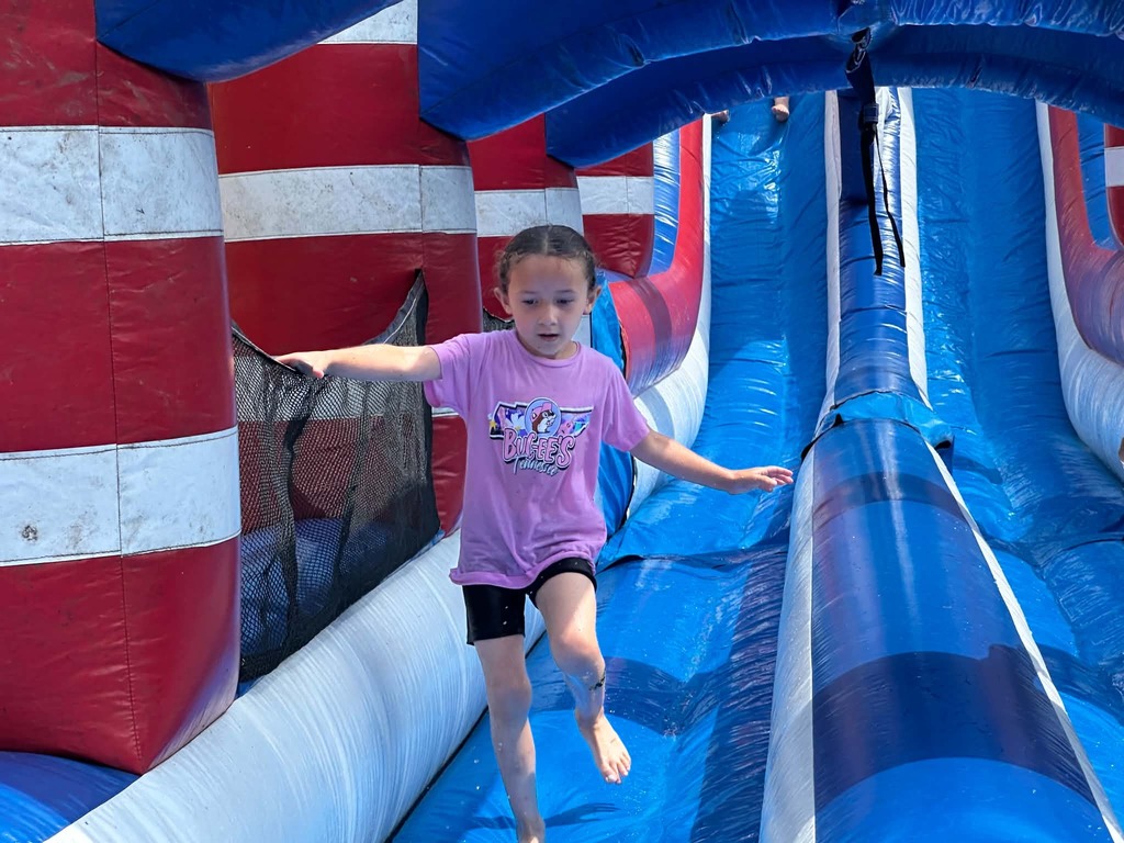 Cubs going down the waterslides. 