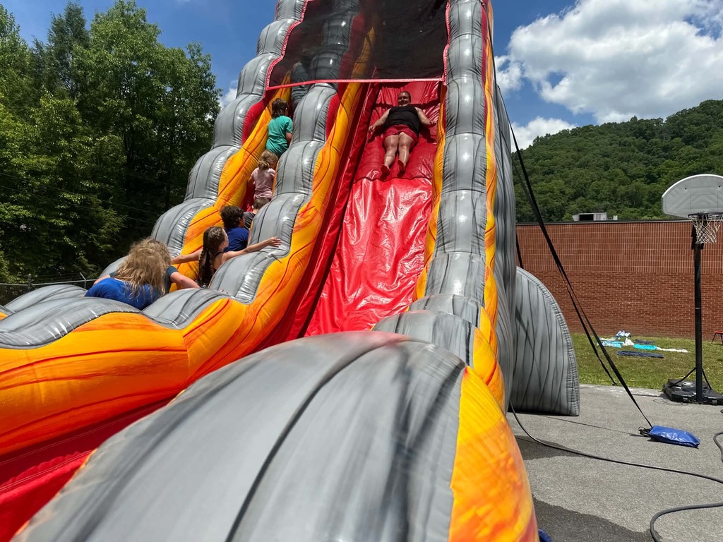 Cubs going down the waterslides. 