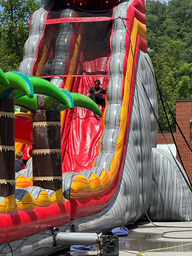 Cubs going down the waterslides. 