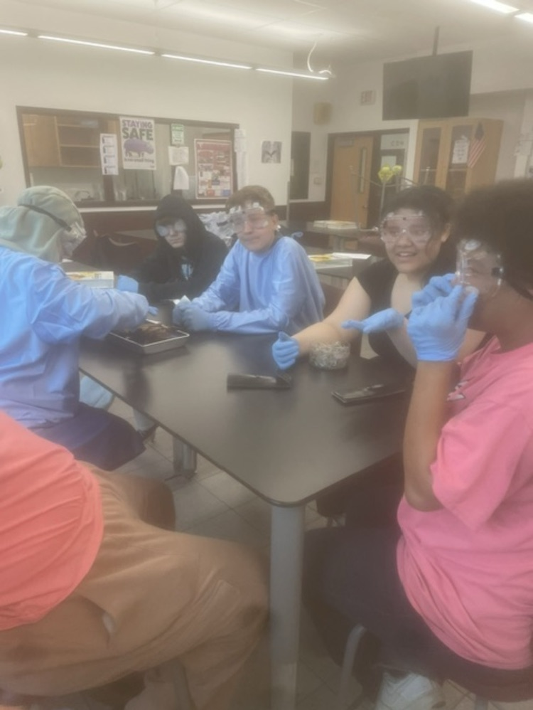 Science in Action 