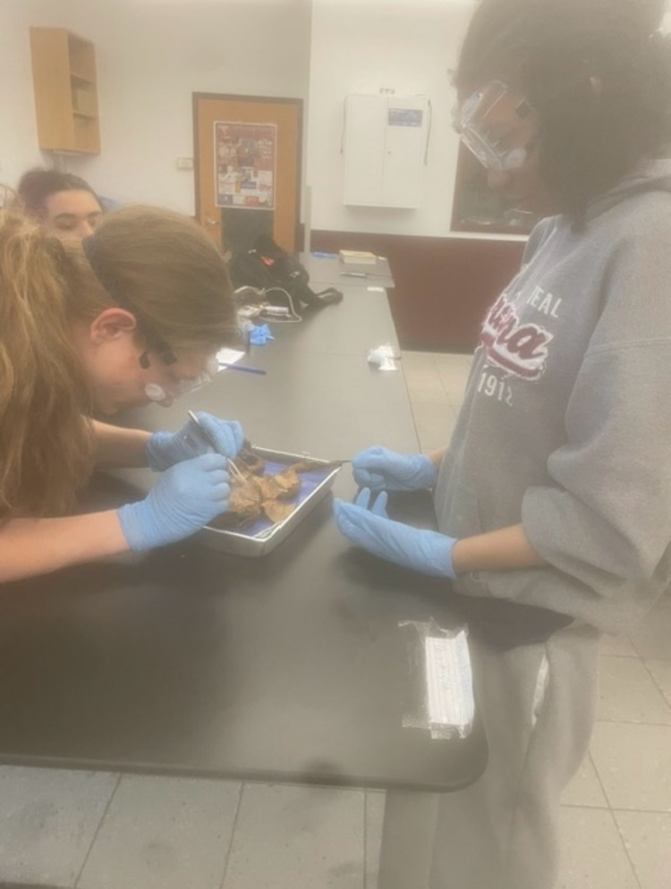 Science in Action 