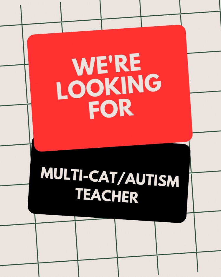 looking for a multi cat autism teacher 