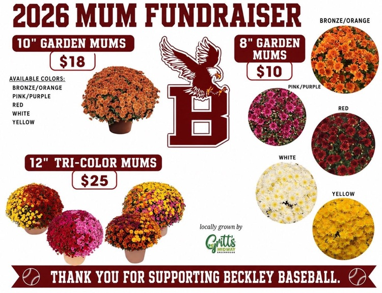 Beckley Baseball
