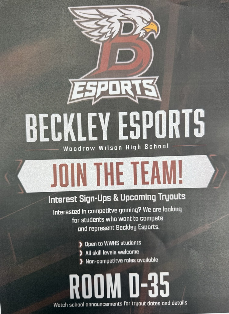 E- Sports