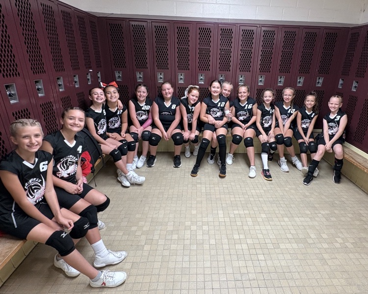 falcon volleyball team
