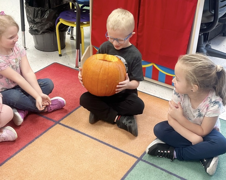pk science four