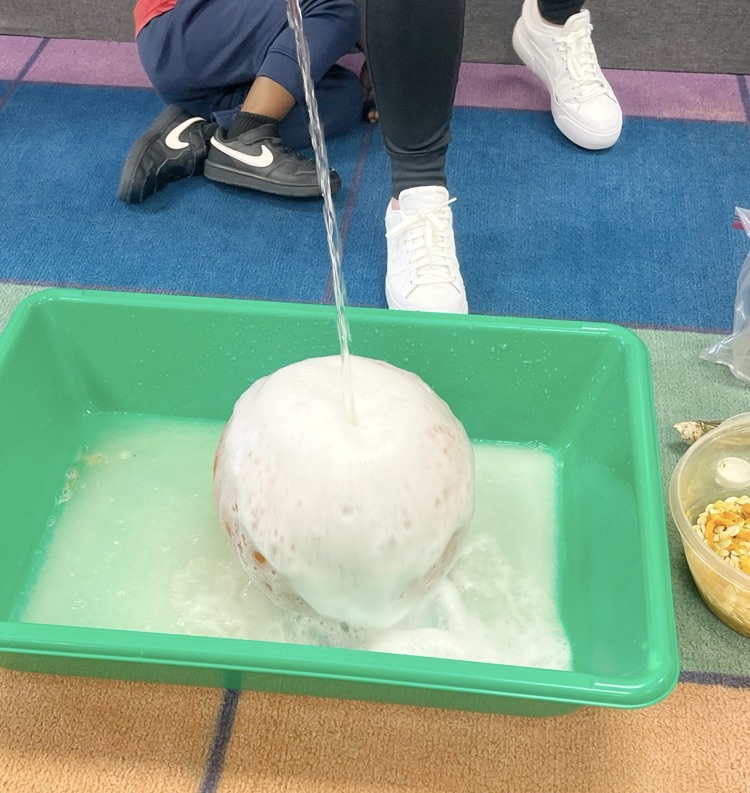 pk science eight