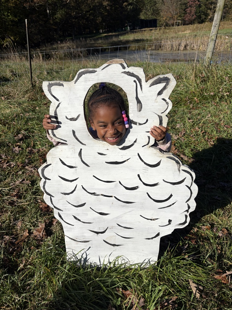 A child wearing a white sheep cutout mask in a grassy field with trees in the background.