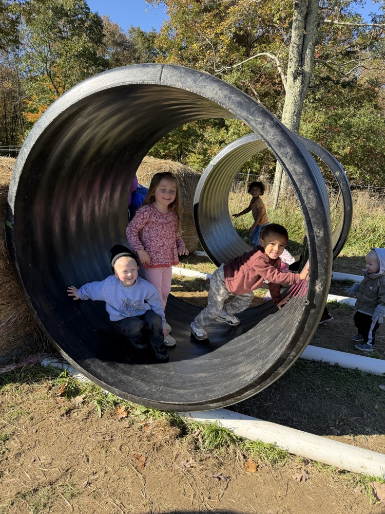 Children playing in outdoor tubes on a playground with autumn trees in the background.