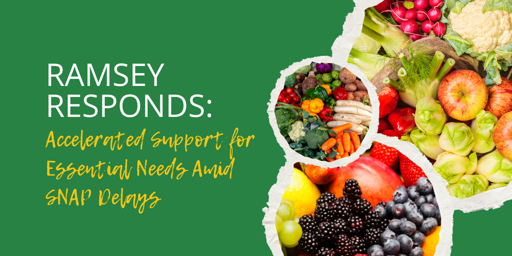 SNAP Benefit Delalys